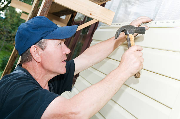 Best Insulated Siding Installation  in Constantine, MI