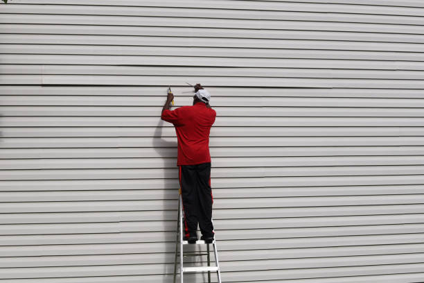 Best Siding Removal and Disposal  in Constantine, MI