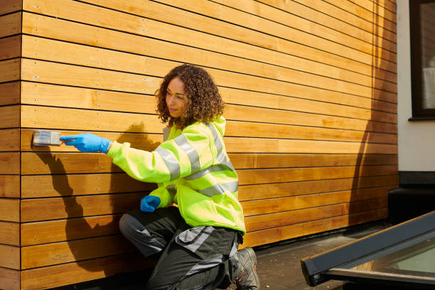 Best Stone Veneer Siding  in Constantine, MI